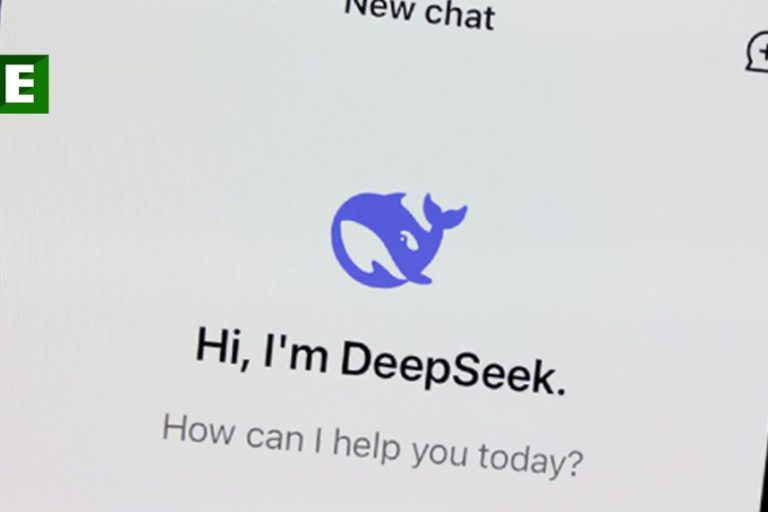 deepseek-ai