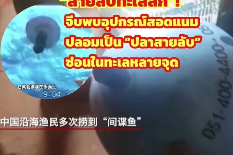 568000008163801