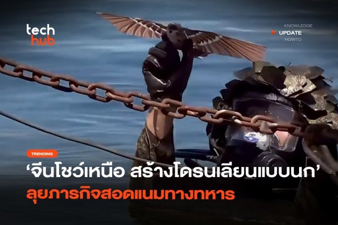 จีนโชว์เหนือ-สร้างโดรนเลียนแบบนก-ลุยภารกิจสอดแนมทางทหาร-12-696×507